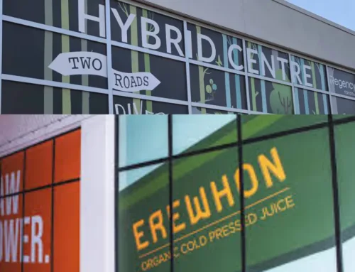 Window Decals and Graphics: Design, Materials, and Privacy Films for Custom Business Signs